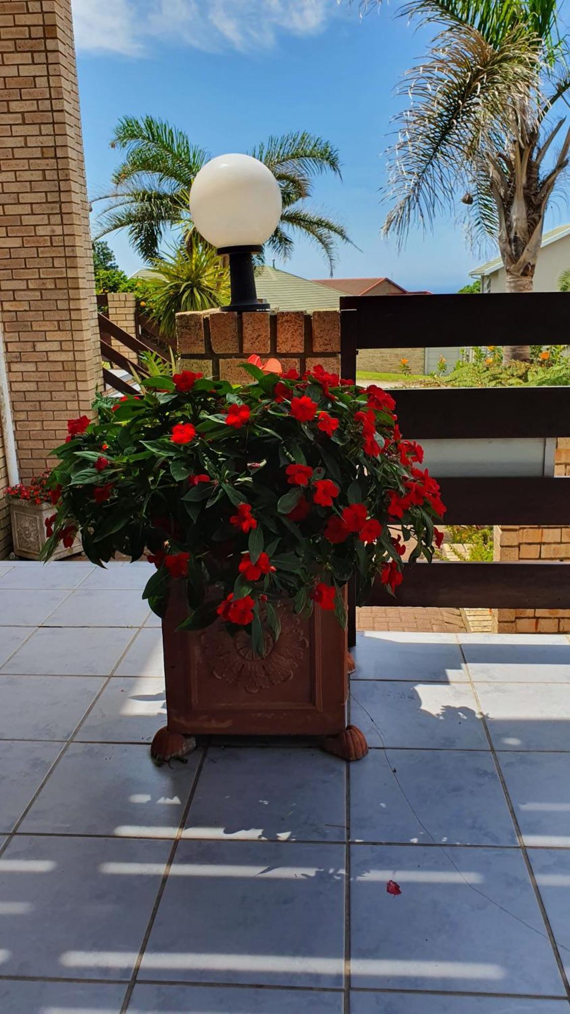 Villa Majestic For Exclusive Accommodation Port Alfred Eksteriør billede